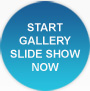 Start Gallery Slide Show Now